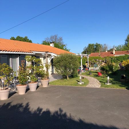 La Pepiniere Bed & Breakfast Saint-Sulpice-et-Cameyrac Bagian luar foto